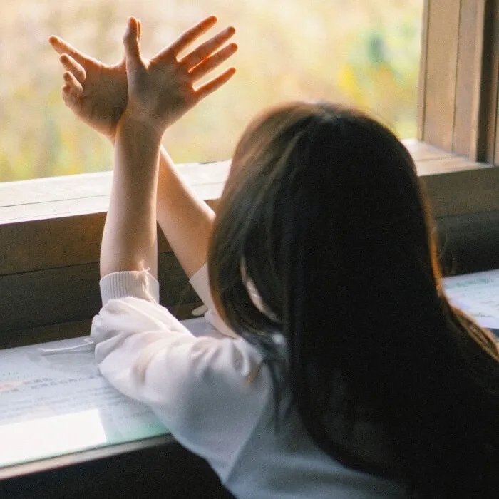 锦衣卫之传国玉玺